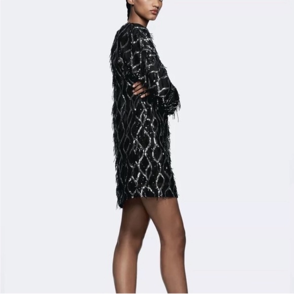 Zara Dresses & Skirts - Nwt-Zara- SEQUIN FRINGED MINI DRESS